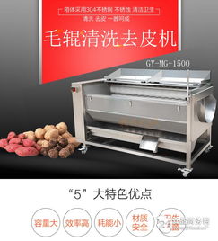 大型毛滚清洗机与激光清洗机 性能、价格与选购指南